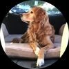 otto012012